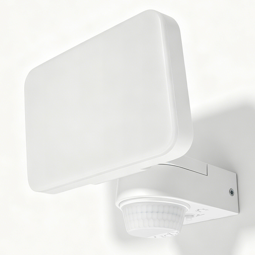 Wall Light