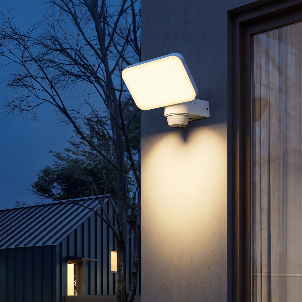 Wall Light