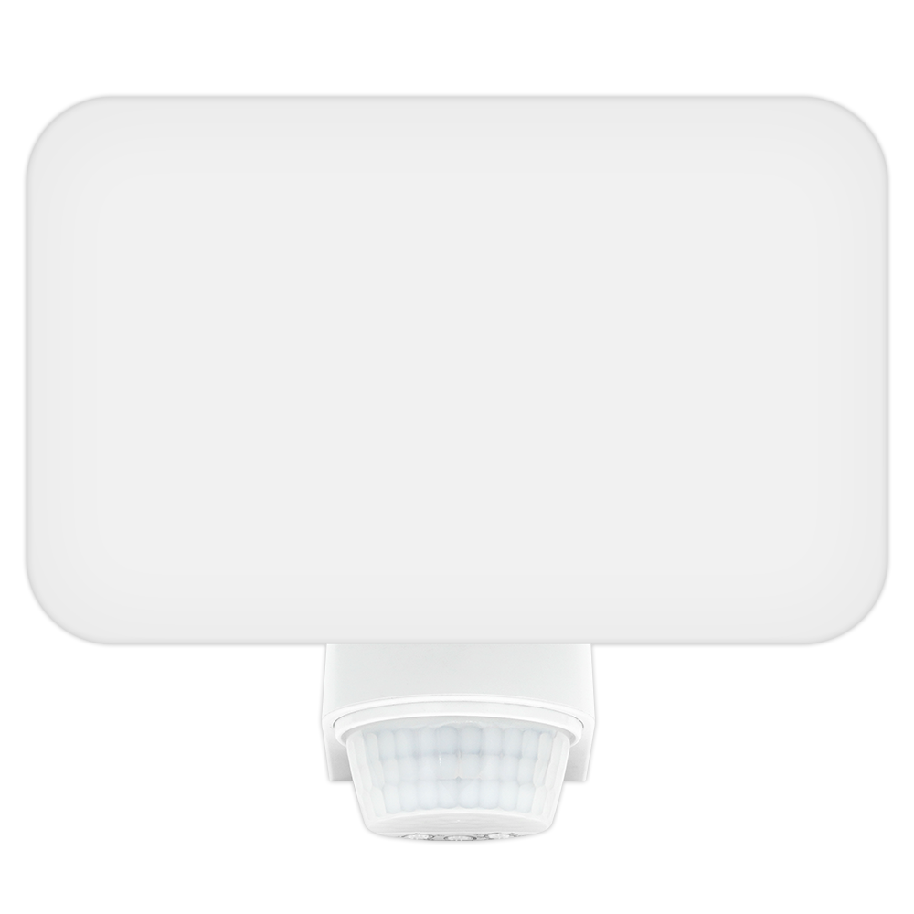 Wall Light