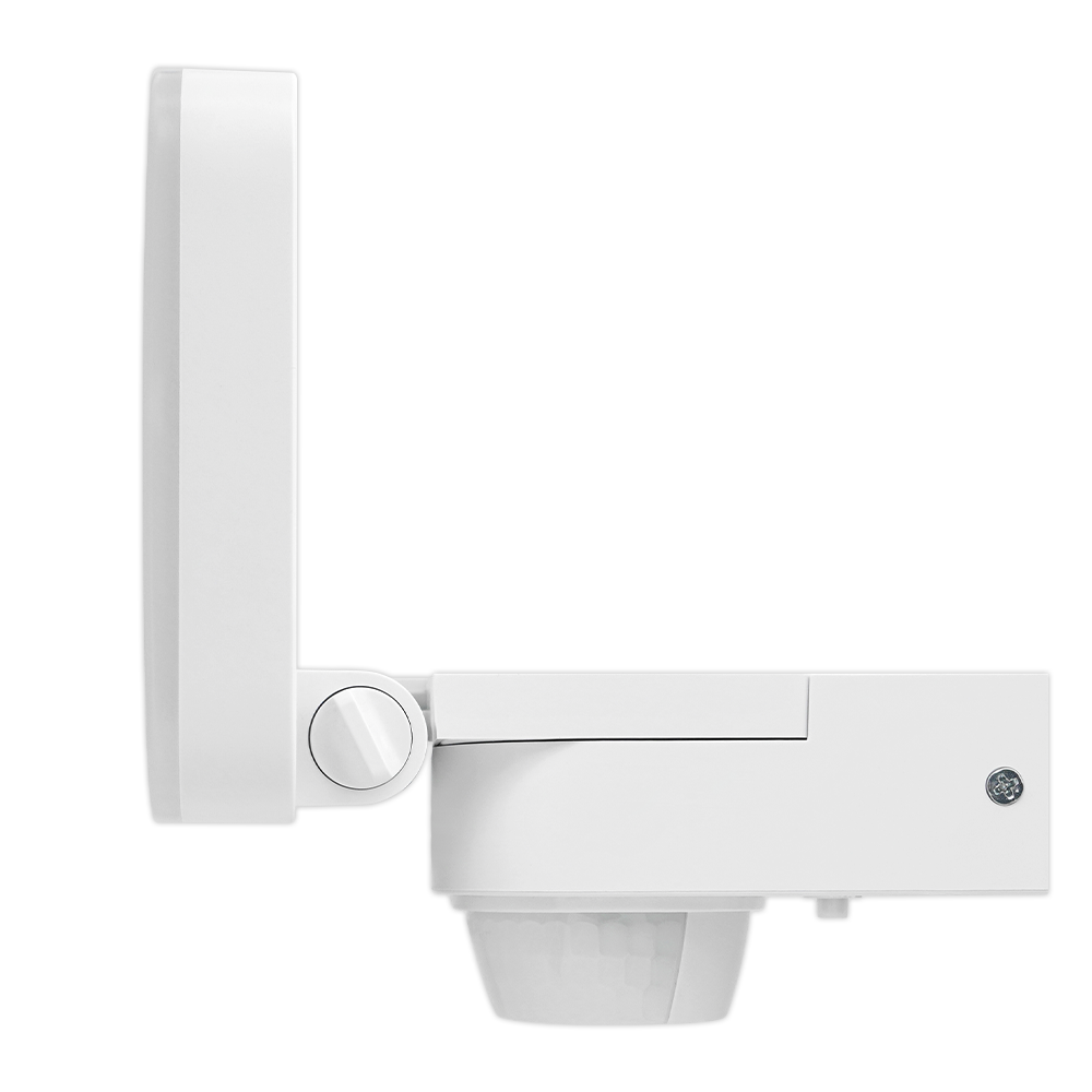 Wall Light