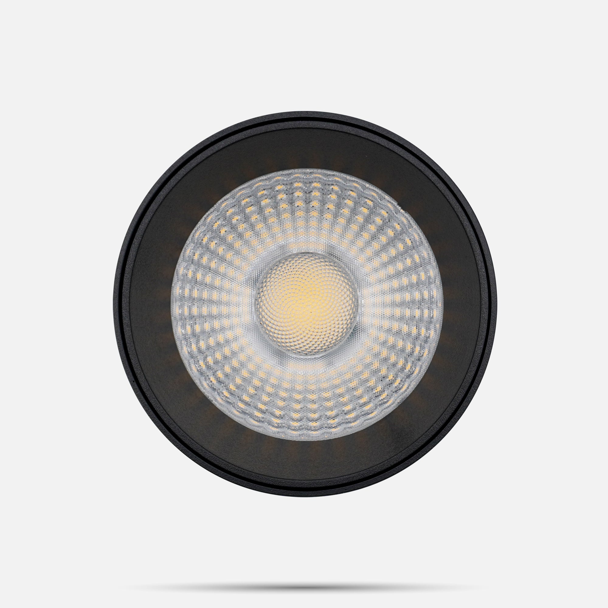 Black LED Track Spotlight