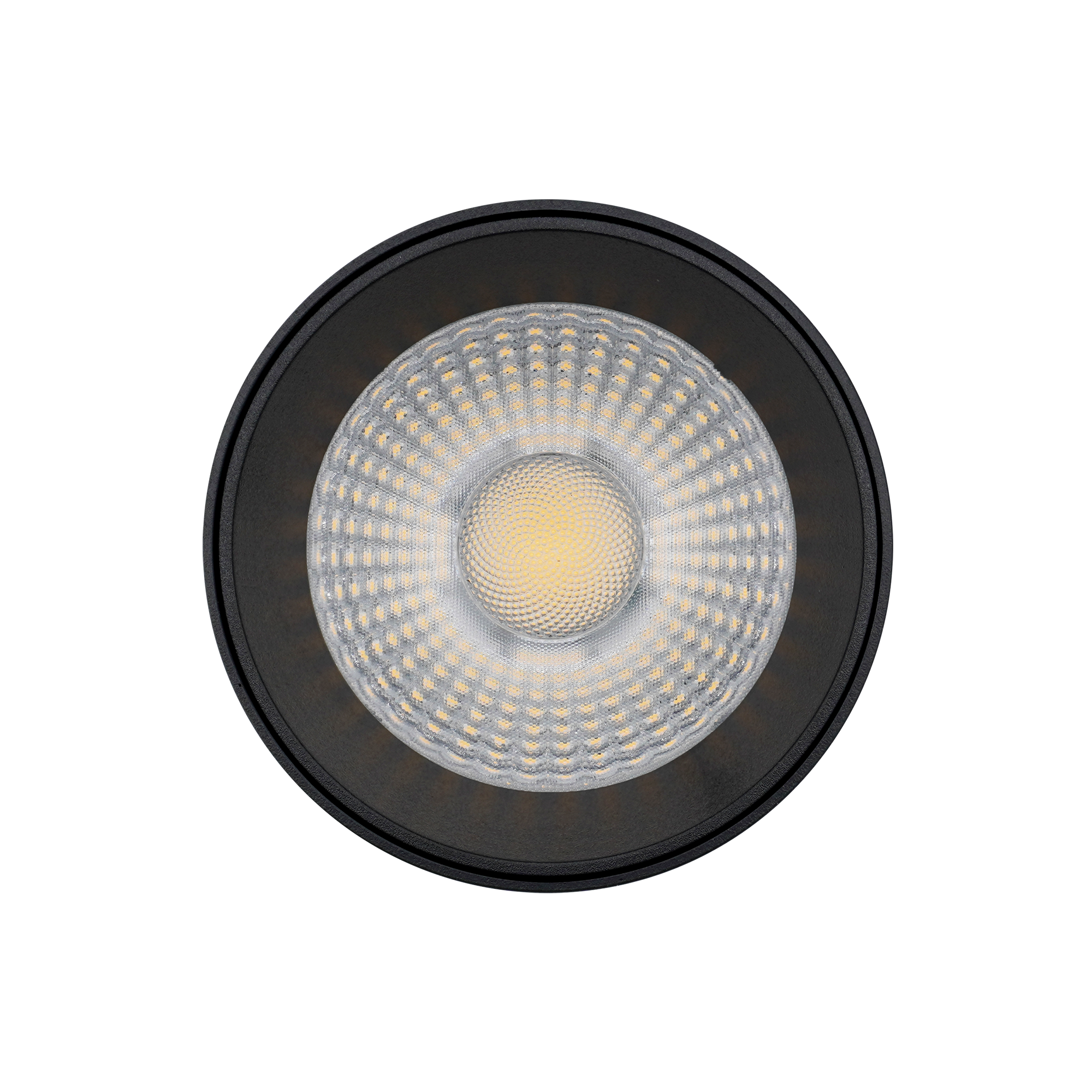 Projecteur sur rail triphasé 30 W CCT 3000K / 4000K / 6000K | angle de faisceau 36° Noir